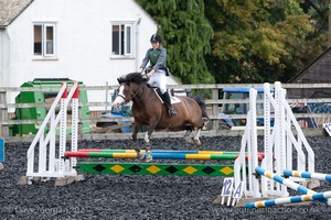 Class 2 -  Fences not above 2'